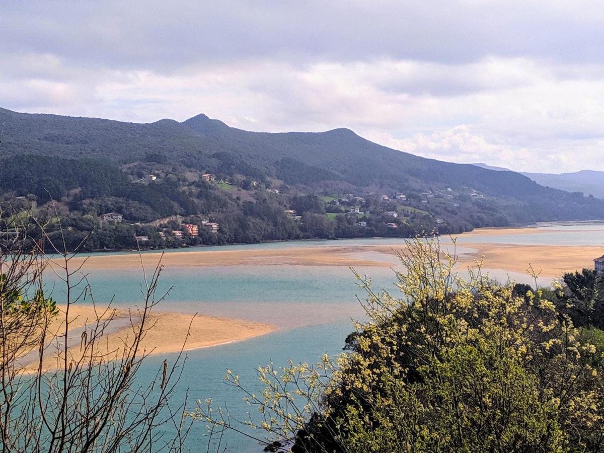 Lamerako Etxie - La Casa Del Parque - Park S Home Bermeo Exteriér fotografie
